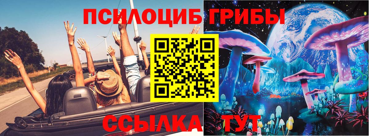 купить наркоту  Вход с VPN  Кольчугино  Псилоцибиновые грибы GOLDEN TEACHER 