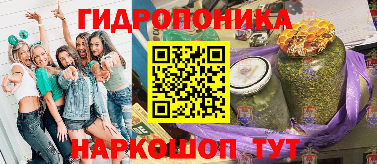 Каннабис марихуана  Конопля Bruce Banner  Кольчугино  Канабис тримм  Вход с VPN  Конопля конопля 
